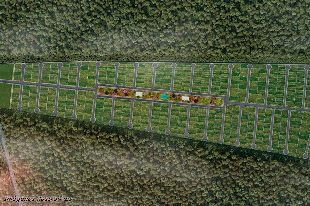1233-34836-22ET-62-Venta-de-Lotes-en-Desarrollo-Residencial-en-Hunucma-cercano-a-ciudad-Caucel-_(4).jpg