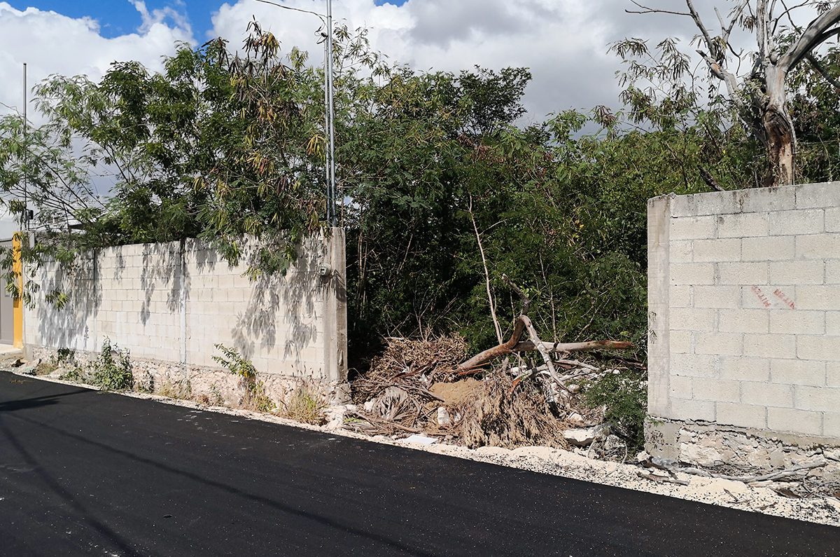 966-26669-Terreno-en-venta-en-Dzitya-a-5-minutos-de-periferico-10.jpg