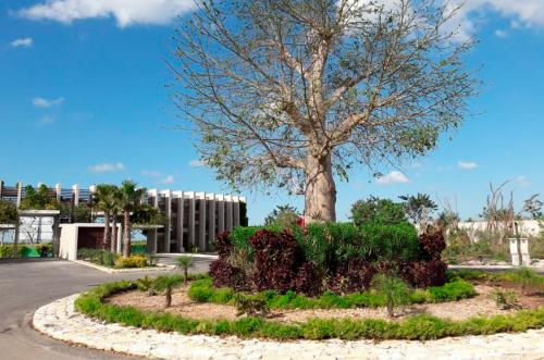 1151-32484-22ET-60-Venta-de-Terrenos-en-Privada-Yaxlum-en-Conkal-Yucatan-listos-para-construir-_(11).jpg