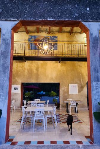 1366-39278-Terrenos-en-venta-en-TICOPO-Yucatan-oportunidad-8.jpg