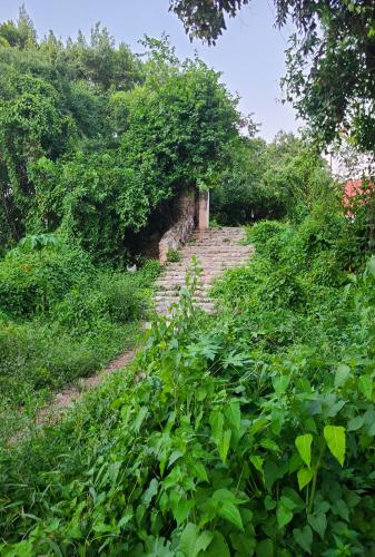 1366-39279-Terrenos-en-venta-en-TICOPO-Yucatan-oportunidad-7.jpg
