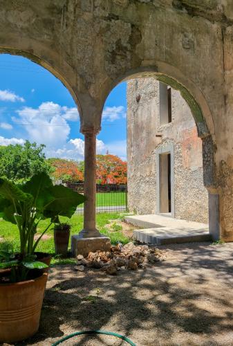 1366-39281-Terrenos-en-venta-en-TICOPO-Yucatan-oportunidad-9.jpg