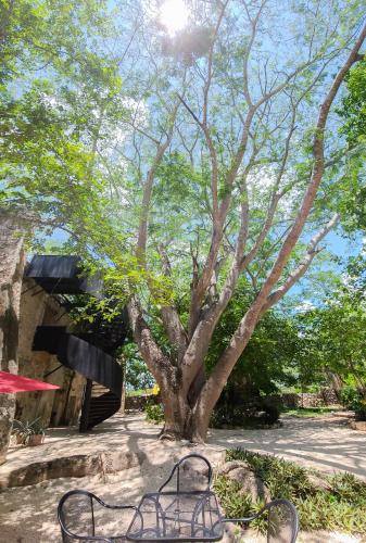 1366-39283-Terrenos-en-venta-en-TICOPO-Yucatan-oportunidad-11.jpg