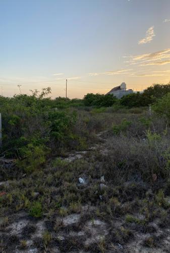 1423-40527-Terreno-en-venta-en-Chicxulub-puerto-excelente-ubicacion-zona-comercial-1.jpg