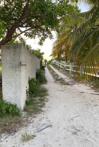 1423-40528-Terreno-en-venta-en-Chicxulub-puerto-excelente-ubicacion-zona-comercial-2.jpg