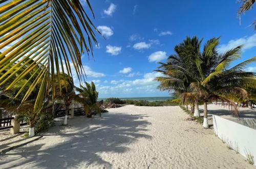 1423-40530-Terreno-en-venta-en-Chicxulub-puerto-excelente-ubicacion-zona-comercial-4.jpg
