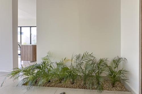 1602-47543-Casas-en-Venta-en-Conkal-Merida-Privada-Naia-Residencial-con-amenidades-Zaci_(17).jpg