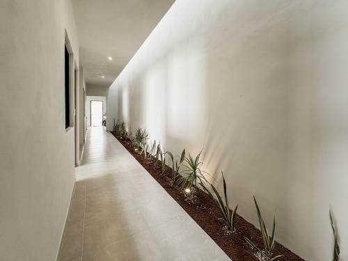 1678-48425-Casa-en-venta-en-Conkal-Merida-Ukum-de-3-habitaciones-en-privada-residencial_(23).jpg