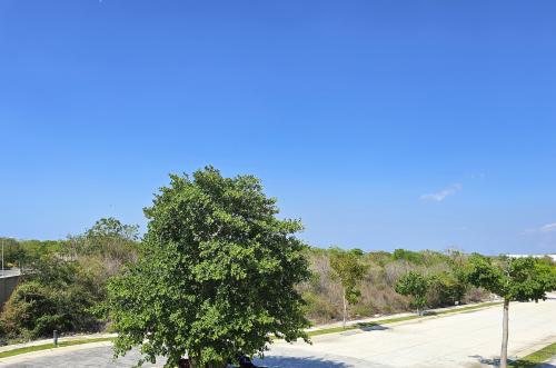 1749-48760-Terreno-en-venta-en-privada-residencial-Mistika-en-la-zona-Country-de-Merida_(6).jpg