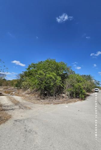 1906-51931-Terreno-en-venta-en-Dzitya-Merida-en-esquina-urbanizado_(2).jpg