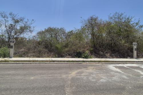 1942-53000-Lotes-Residenciales-en-Venta-en-Privada-Ciudad-Central-con-amenidades_(3).jpg
