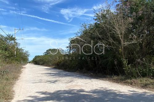 2020-03-10_00_23_01_terreno-en-venta-en-dzitya-merida-9.jpg