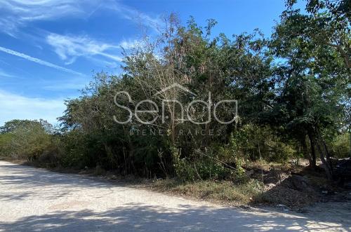 2020-03-10_00_23_05_terreno-en-venta-en-dzitya-merida-10.jpg