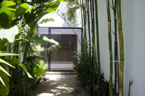 220-49407-casa-en-renta-de-lujo-montes-de-ame-merida-83.jpg