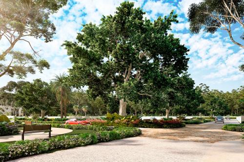 686-18811-21GM-02_-Campo-Magno-Lotes-Residenciales-en-una-de-las-mejores-Privadas-de-Merida-0_0003_686-18725-gallery_04.jpg