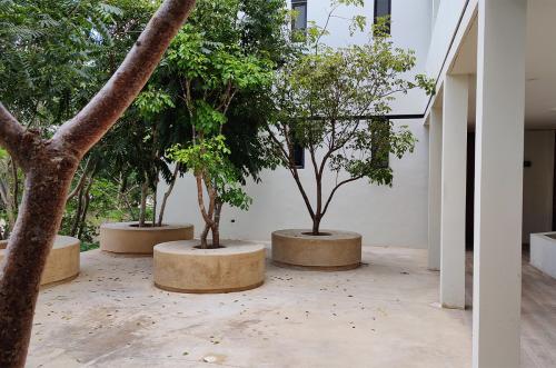 783-33114-Departamento_en_venta_El_Sabino_en_Temozón_NorTe_Mérida_de_una_recámara_(47).jpg